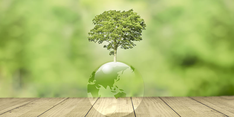 サステナブル素材