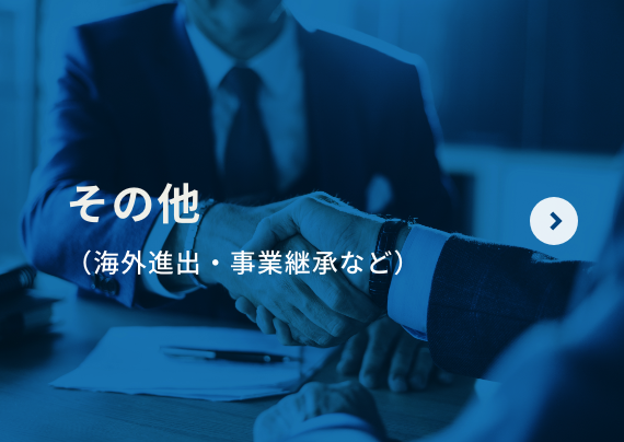 その他海外進出・事業継承など）