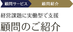 大手・中小企業など、幅広い支援実績 顧問を活用した事例のご紹介