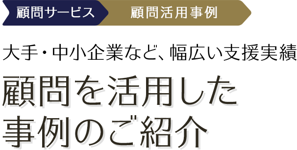 大手・中小企業など、幅広い支援実績 顧問を活用した事例のご紹介