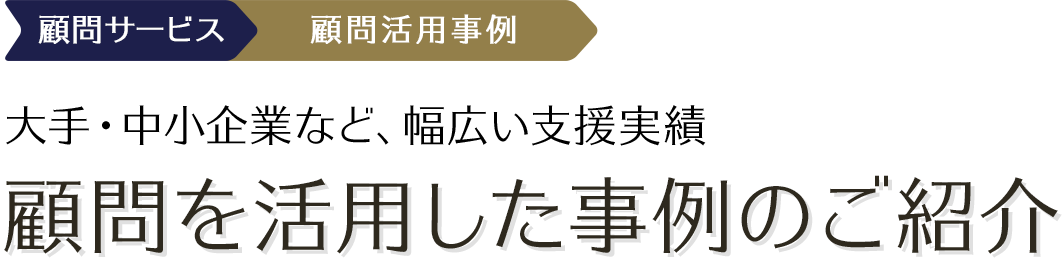 大手・中小企業など、幅広い支援実績 顧問を活用した事例のご紹介