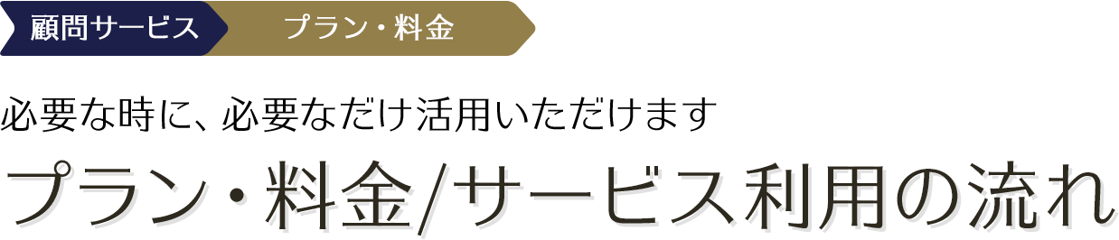 大手・中小企業など、幅広い支援実績 プラン・料金/サービス利用の流れ